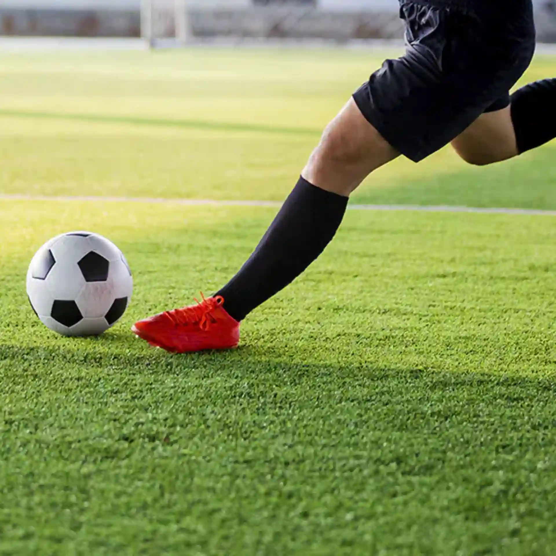 Gazon synthétique de qualité pour vos terrains de sport